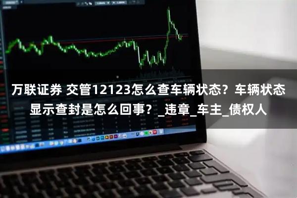 万联证券 交管12123怎么查车辆状态？车辆状态显示查封是怎么回事？_违章_车主_债权人