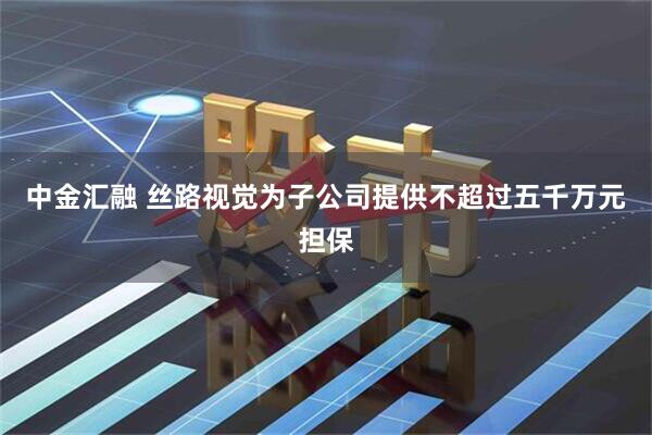 中金汇融 丝路视觉为子公司提供不超过五千万元担保