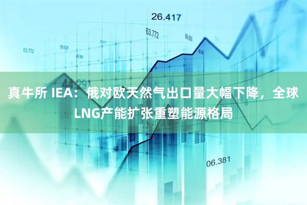 真牛所 IEA：俄对欧天然气出口量大幅下降，全球LNG产能扩张重塑能源格局