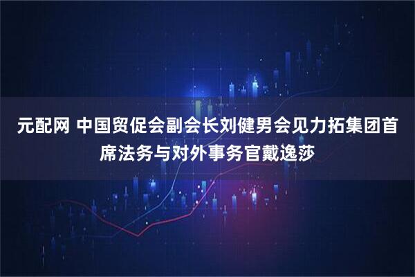 元配网 中国贸促会副会长刘健男会见力拓集团首席法务与对外事务官戴逸莎