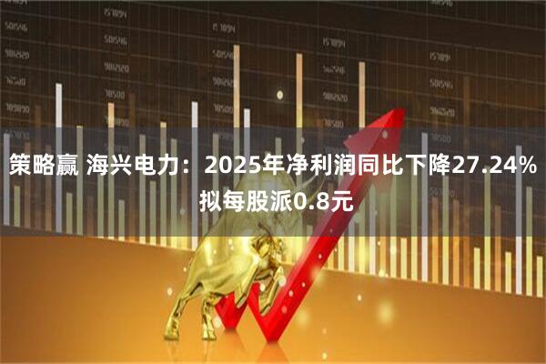 策略赢 海兴电力：2025年净利润同比下降27.24% 拟每股派0.8元